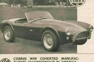 AC Cobra Classic Tires